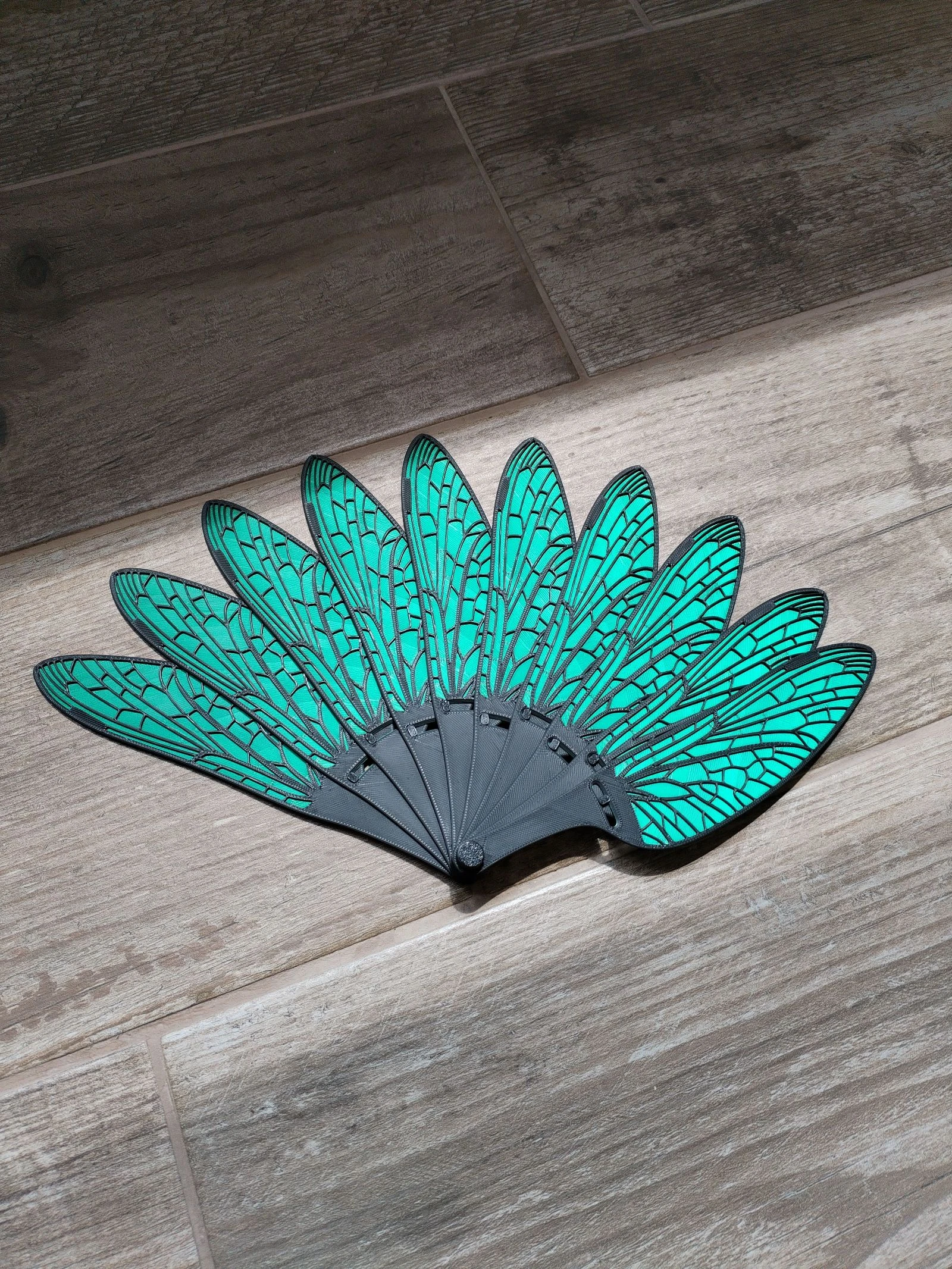 Éventail aille d'insectes